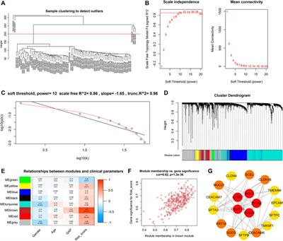 Construction and Validation of a Novel Prognostic Signature of Idiopathic Pulmonary Fibrosis by Identifying Subtypes Based on Genes Related to 7-Methylguanosine Modification